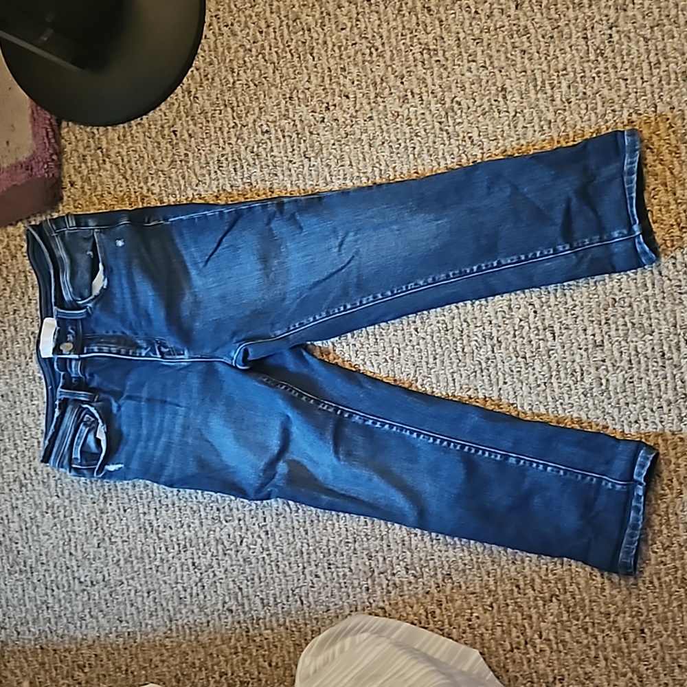 Vervet straight ankle jean